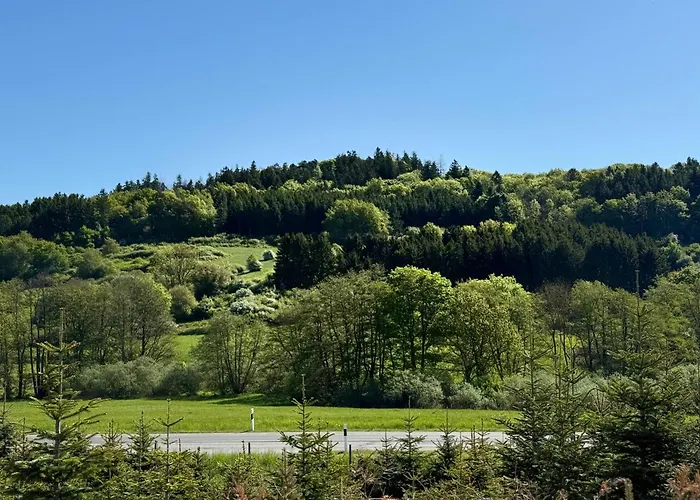 Schwarzenbergblick Apartment Kelberg